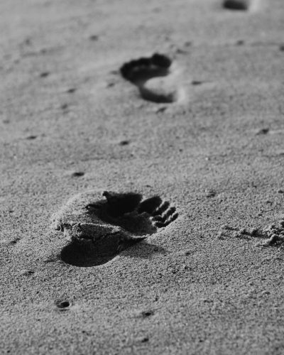 christopher-sardegna_sw
